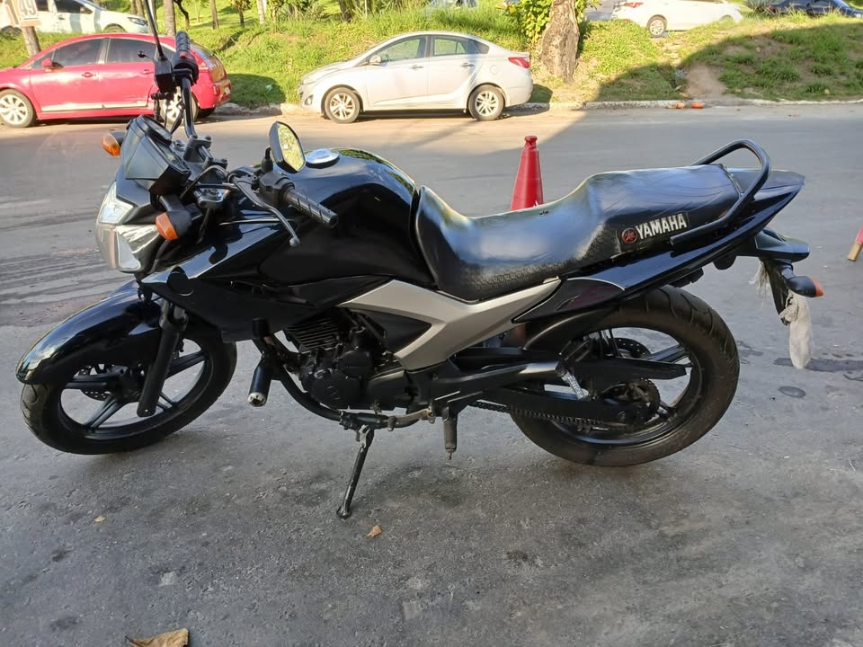 YAMAHA YS 250 FAZER/ FAZER L. EDITION /BLUEFLEX