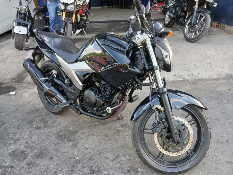 YAMAHA YS 250 FAZER/ FAZER L. EDITION /BLUEFLEX