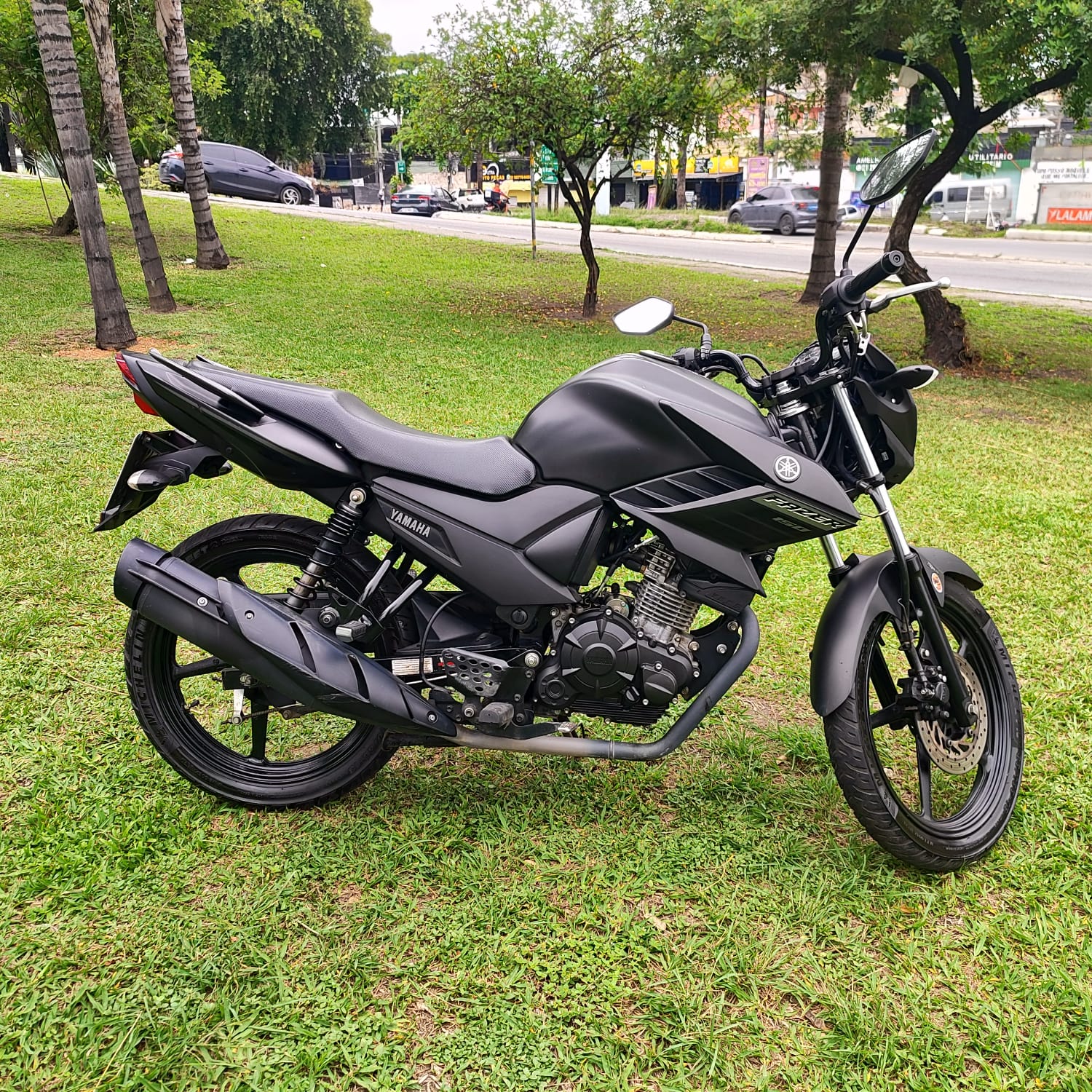 YAMAHA YS 150 FAZER ED/FLEX