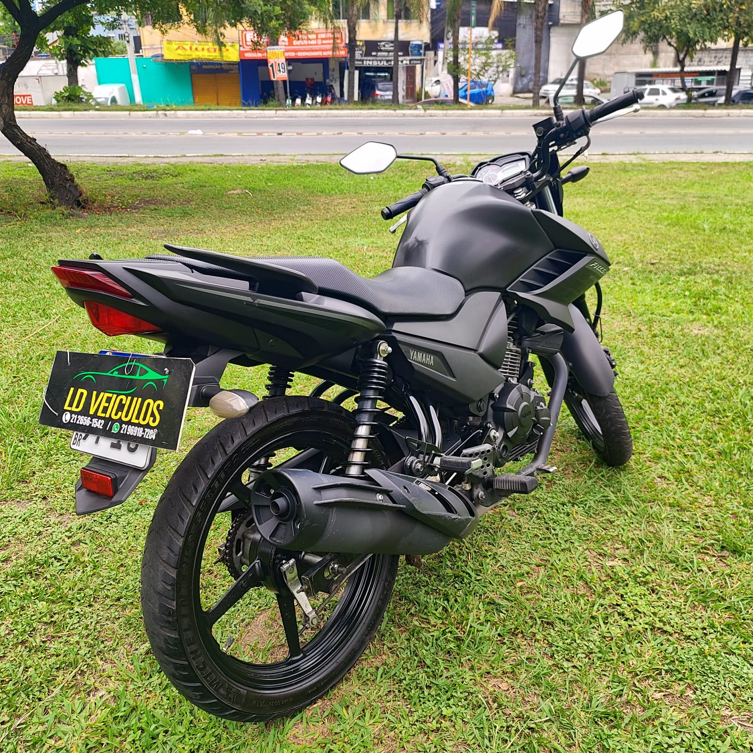 YAMAHA YS 150 FAZER ED/FLEX